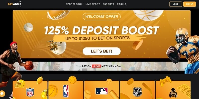 Maestrobet Online Maestro Card Banking Method